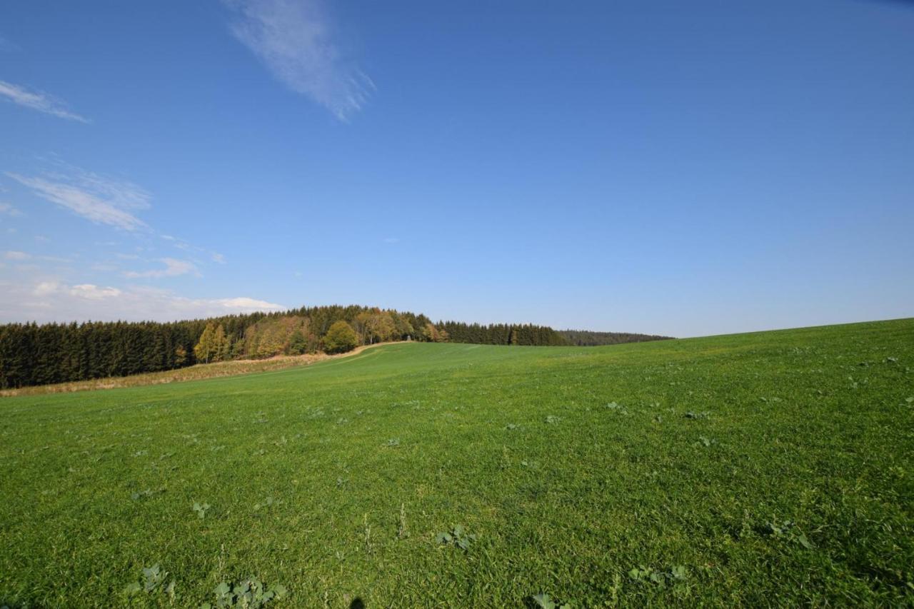 ホテル Landgasthof Wolfsgrund Dorfchemnitz エクステリア 写真